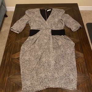 Whistles Women’s Animal Spotted Zip Back Dress